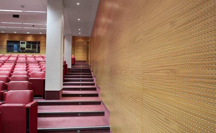 江西新余演講廳木質(zhì)穿孔吸音板聲學工程